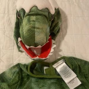 PBK Baby Dinosaur Costume